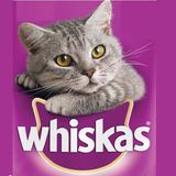 لوگوی برند ویسکاس (Whiskas)، غذای تخصصی گربه – موجود در پت گوگولی