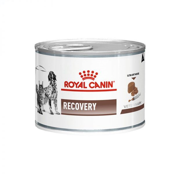 کنسرو ریکاوری رویال کنین سگ و گربه | Royal Canin Recovery