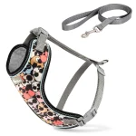 قلاده گردنی پددار VIP همراه با لید نینا پت، مناسب برای سگ و گربه – collar10.5