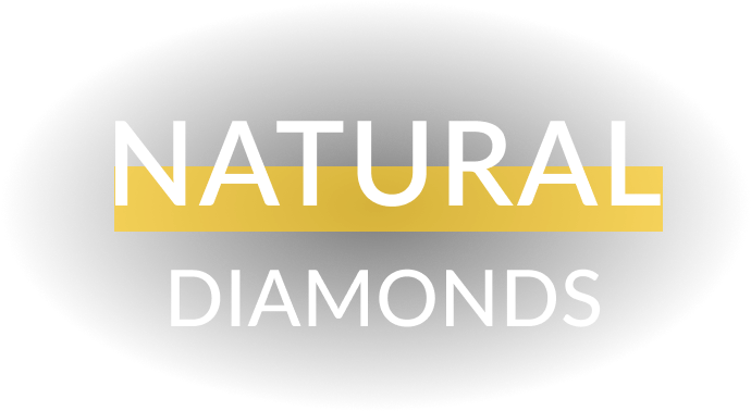 برند دایموند نچرال (Diamond Naturals)، تولیدکننده غذای باکیفیت حیوانات خانگی