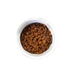 غذای خشک گربه وی پت پرمیوم مخصوص گربه بالغ پت گوگولی