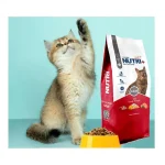 غذای خشک گربه بالغ نوتری پلاس Nutri Plus Adult Cat Food وزن 10 کیلوگرم - خرید از پت گوگولی petGoogooli.com