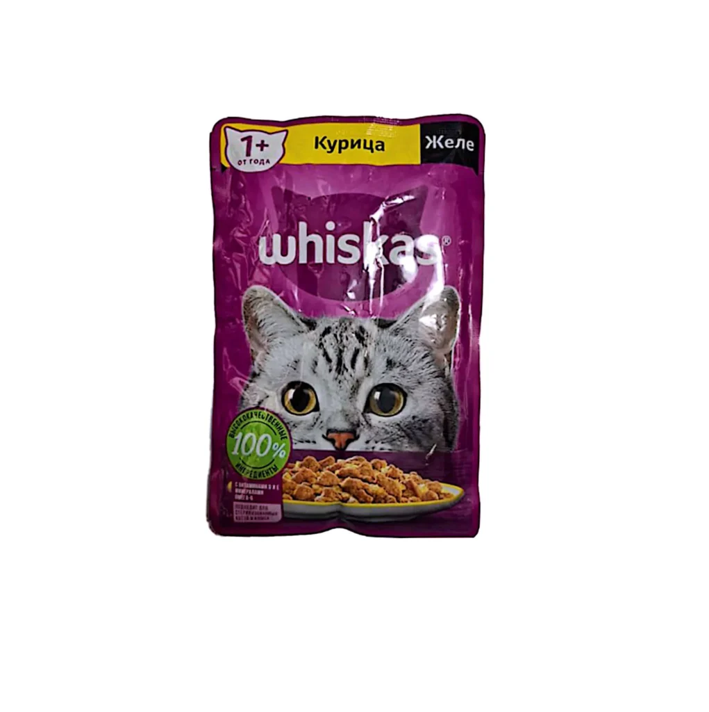 پوچ گربه ویسکاس مدل مرغ در ژله (Whiskas Chicken in Jelly Cat Wet Food) یکی از پرفروش‌ترین غذاهای مرطوب برند جهانی ویسکاس (Whiskas) است که با طعمی بی‌نظیر و ترکیبی طبیعی از تکه‌های مرغ تازه در ژله تولید شده است. این غذای مقوی، متعادل و خوش‌عطر برای گربه‌های بالغ طراحی شده و تمام نیازهای تغذیه‌ای روزانه آن‌ها را تأمین می‌کند. گوشت مرغ تازه منبعی سرشار از پروتئین حیوانی باکیفیت بالا است که به تقویت عضلات، حفظ وزن ایده‌آل و افزایش انرژی گربه کمک می‌کند. در کنار آن، ژله طبیعی موجود در این محصول باعث حفظ رطوبت بدن گربه و هیدراته ماندن او می‌شود و در عین حال بافتی نرم و خوش‌خوراک به غذا می‌دهد که حتی گربه‌های بدغذا را هم جذب می‌کند. فرمولاسیون این پوچ شامل ویتامین‌های A، D3، E و مواد معدنی ضروری مانند کلسیم، فسفر و زینک است که برای حفظ سلامت استخوان‌ها، پوست، مو و بینایی گربه‌ها اهمیت بالایی دارد. همچنین وجود اسیدهای چرب امگا ۳ و امگا ۶ موجب درخشندگی مو و جلوگیری از التهاب‌های پوستی می‌شود. پوچ ویسکاس مدل مرغ در ژله با رطوبت بالا (بیش از ۸۰٪) به جلوگیری از کم‌آبی و مشکلات کلیوی در گربه‌ها کمک می‌کند. این ویژگی آن را به گزینه‌ای عالی برای گربه‌هایی که تمایل کمتری به نوشیدن آب دارند تبدیل کرده است. محصولات برند ویسکاس (Whiskas) تحت نظارت شرکت بین‌المللی Mars Petcare و با استفاده از مواد اولیه باکیفیت تولید می‌شوند. پت‌شاپ گوگولی با تضمین تازگی، اصالت و تاریخ معتبر، این محصول را با بهترین قیمت عرضه می‌کند تا گربه‌ی شما از غذایی طبیعی و سالم لذت ببرد. ویژگی‌ها و مزایای پوچ گربه ویسکاس مدل مرغ در ژله: تهیه‌شده از تکه‌های واقعی گوشت مرغ در ژله طبیعی سرشار از پروتئین، ویتامین و مواد معدنی ضروری دارای ویتامین‌های A، D3، E و امگا ۳ و ۶ کمک به سلامت پوست، درخشندگی مو و تقویت سیستم ایمنی رطوبت بالا برای پیشگیری از کم‌آبی و مشکلات کلیوی فاقد رنگ مصنوعی، مواد نگهدارنده و افزودنی‌های شیمیایی بافت نرم و ژله‌ای با قابلیت هضم آسان مناسب برای تمام نژادهای گربه بالغ قابل استفاده به‌عنوان وعده‌ی اصلی یا مکمل غذای خشک ترکیبات اصلی: گوشت مرغ تازه، ژله طبیعی، آب تصفیه‌شده، پروتئین حیوانی، تورین، فیبر طبیعی، ویتامین‌های A، D3، E، امگا ۳ و ۶، فسفر، کلسیم، زینک و کاراگینان طبیعی. این ترکیبات باعث تقویت عضلات، سلامت پوست و مو، بهبود گوارش و افزایش انرژی گربه‌ها می‌شوند. نحوه مصرف: گربه‌های کوچک (۲ تا ۳ کیلوگرم): روزانه ۱ تا ۱.۵ عدد پوچ گربه‌های متوسط (۳ تا ۵ کیلوگرم): روزانه ۲ عدد پوچ گربه‌های بزرگ (۵ کیلوگرم به بالا): روزانه ۲ تا ۳ عدد پوچ می‌توانید پوچ را به‌صورت مستقیم سرو کنید یا با غذای خشک ترکیب نمایید. همیشه آب تازه در دسترس گربه قرار دهید. نحوه نگهداری: در محیط خشک و خنک و به دور از نور مستقیم آفتاب نگهداری شود. پس از باز شدن بسته، محتویات باقیمانده را در یخچال قرار دهید و ظرف ۲۴ ساعت مصرف کنید. چرا از پت‌شاپ گوگولی بخریم؟ در پت‌شاپ گوگولی، کیفیت و سلامت حیوانات خانگی در اولویت است. پوچ گربه ویسکاس مدل مرغ در ژله با ترکیبی طبیعی و بافتی نرم، انتخابی عالی برای گربه‌هایی است که عاشق طعم مرغ و غذای مرطوب هستند. عشق به حیوانات از گوگولی آغاز می‌شود.