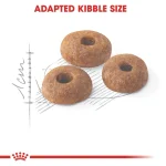 غذای خشک گربه رویال کنین Regular Fit 32 وزن 400 گرم مناسب گربه‌های بالغ با فعالیت معمولی