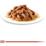 پوچ بچه گربه رویال کنین Royal Canin Kitten Wet Food خرید از پت گوگولی petGoogooli.com