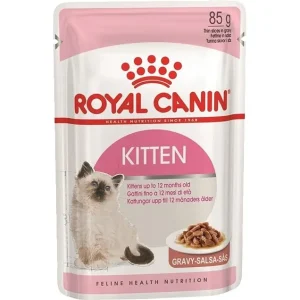 پوچ بچه گربه رویال کنین Royal Canin Kitten Wet Food خرید از پت گوگولی petGoogooli.com