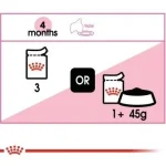 پوچ بچه گربه رویال کنین Royal Canin Kitten Wet Food خرید از پت گوگولی petGoogooli.com