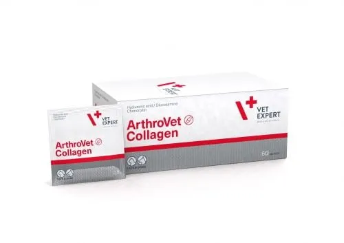 پودر ArthroVet Collagen – مکمل تقویت مفاصل و غضروف سگ و گربه