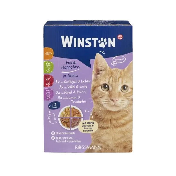 pouch-winston-pack غذای پوچ گربه وینستون مدل مولتی پک وزن 1200 گرم بسته 12 عددی